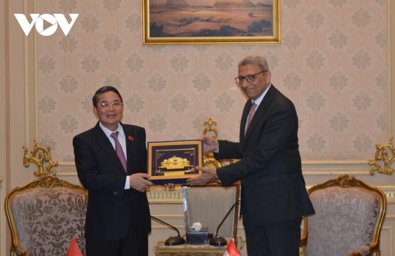 Thúc đẩy hợp tác nghị viện Việt Nam và Ai Cập